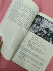 Panoramic Indian Painting Book Class 11