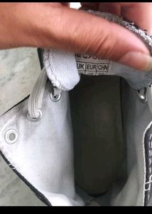 Converse High-Top Sneakers