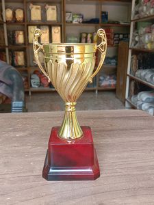 Small Cup Trophy 🏆