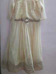 A Cream Coloured ,Net Material Gown