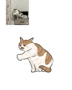 Custom Pet Doodles and Portait Illustrations
