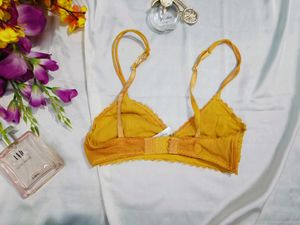 🇳🇿💫🎀Lace Bralette - Mustard Yellow