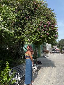 Mukti Colored Free Size