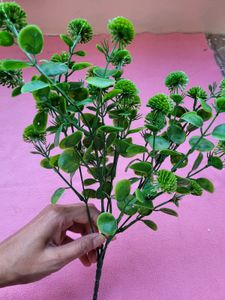 Flower Bunches