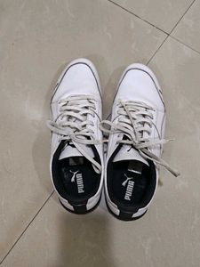 Puma Casual Shoes Ferrari Edition