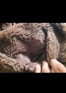 Viral Zara Fur Jacket