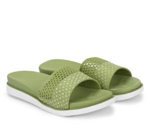 Women Dailywear Flat