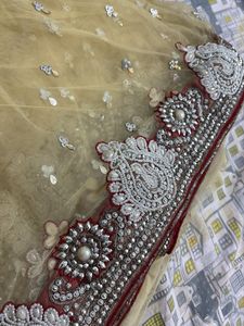 Elegant Embellished Indian Saree