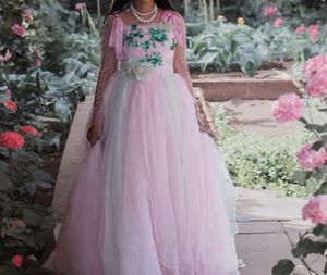 Offer🚨🚨Elegant pastel Gown
