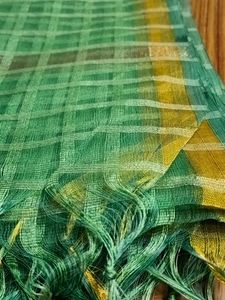 Chanderi Dupatta