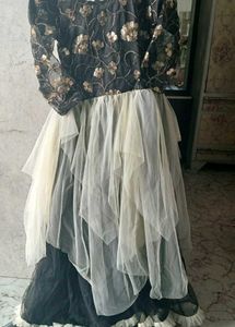 Elegant Party Wear Dress