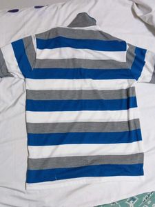 Striped Polo Shirt