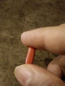 Single Red Coral