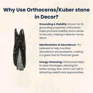 Orthoceras Kuber Stone For Financial Growth 💸💰