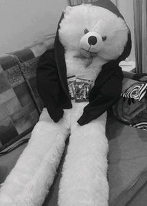 Cute Teddy Bear