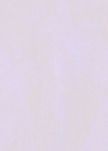 Victorian Blazer Jumpsuit