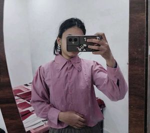 Pink Collared Blouse