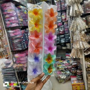 Flowers Clutches 2 Pcs 60 Rs Big Size