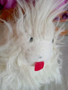 Dog Toys