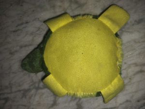 Turtle Plush Toy