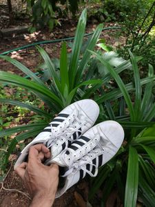 Sparx Causal Shoes For Sale