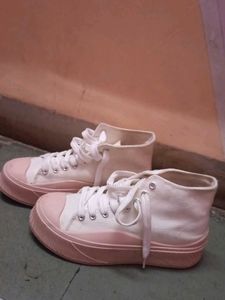 High Top Canvas Sneakers