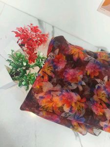 Organza Duppata