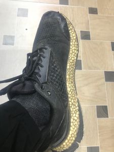 Puma bounce