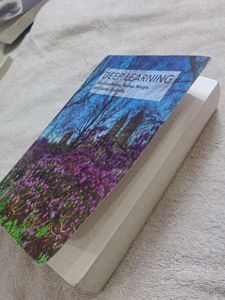 Deep Learning Book