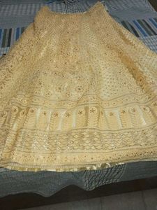 Elegant Lehenga Choli Set