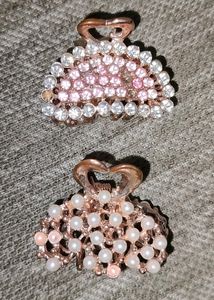Combo of 2 Fashionable Hair Clips