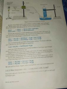 Information Technology + Science Ncert+ Biology