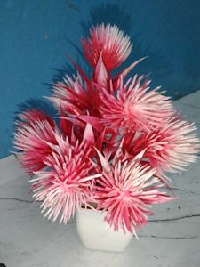 Very Low Price Pack Of 6 Artificial Flowers Plants