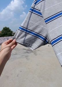 Striped Polo Shirt