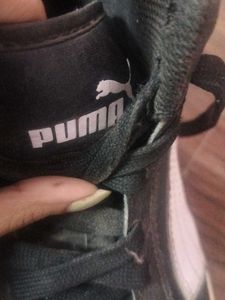 Cool Puma Shoes For Men