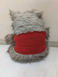 Cute Teddy Bear