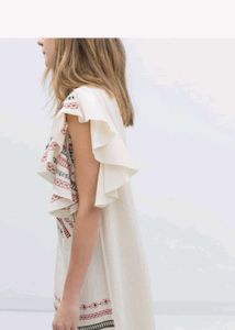 Zara Embroidered Mini Dress