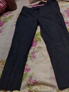 Mens Pant