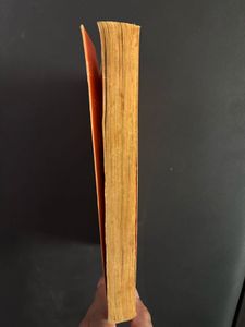 Ginger Snaps by Cathy Cassidy