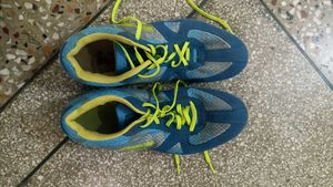 Sport Shoes