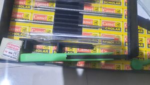 Camal Dissection Box