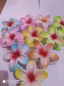 Pastel Flower Hair Claw Clips Set Of 2