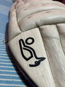 Kookaburra Batting Pads