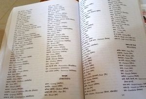 Speaking English Course