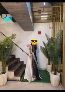 aesthetic Lehenga Choli Set