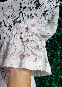 Imported|Beautiful White Lace|Mesh|Net D