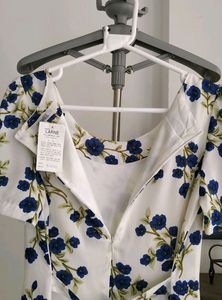 Blueberries Floral Printed Mini Dress