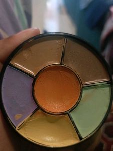Insight Pro Concealer Palette