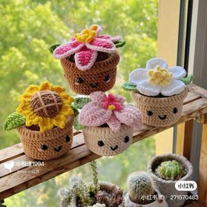 Crochet Flower Pot