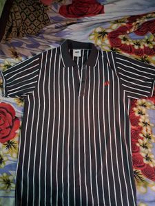 Striped Polo Shirt